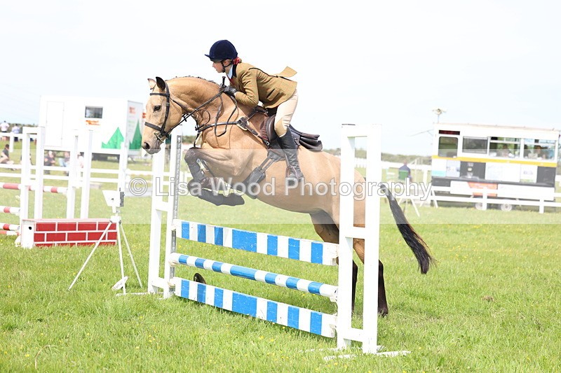 3E7A1433 - Class 13: Senior British Novice/90cm open