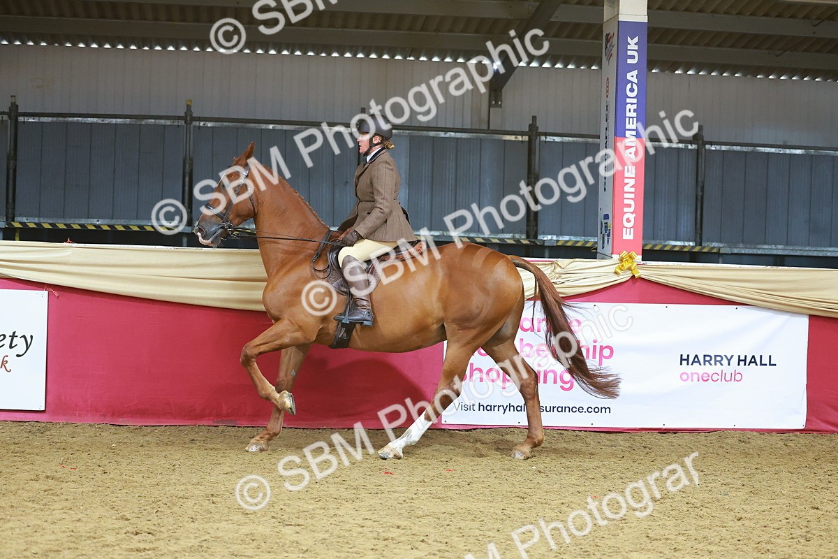 SBM_09436 - Class 102 - HOYS Veteran Qualifier - Ridden Veteran