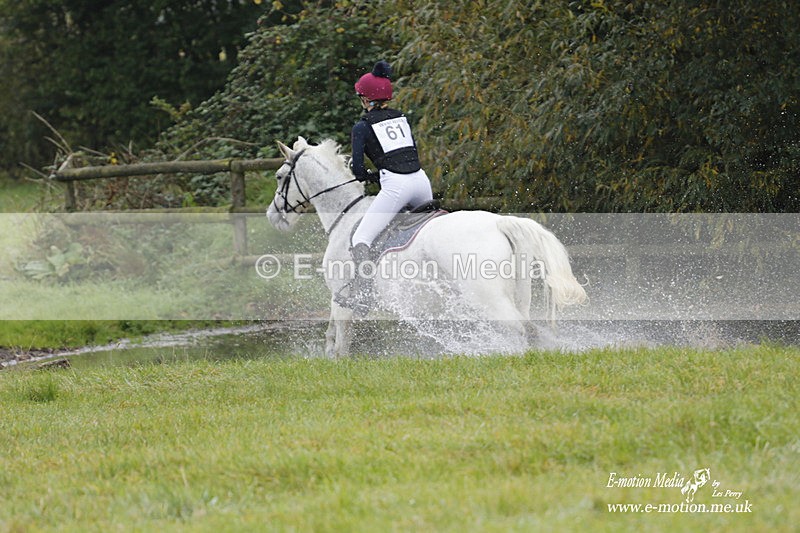  WWHT 171021 0870 - Open Novice (0.80m)  17/10/21