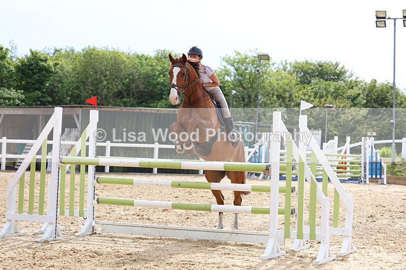 3E7A7747 - Class 8: Senior Foxhunter/1.20 open