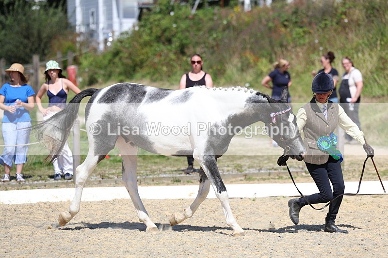 3E7A9851 - In Hand Championship