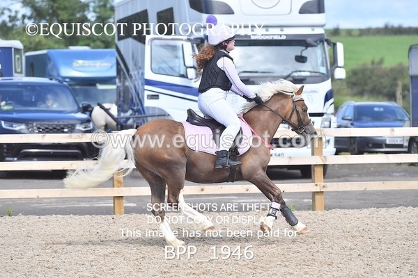 BPP_1946 - DERBY CLASS 5 - 60CM