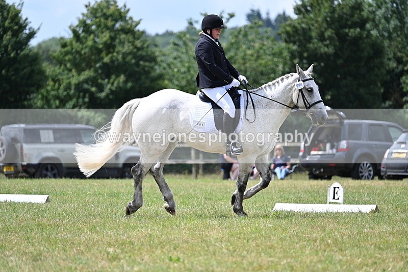 WJ7_4959 - Time 11:22 to 11:51