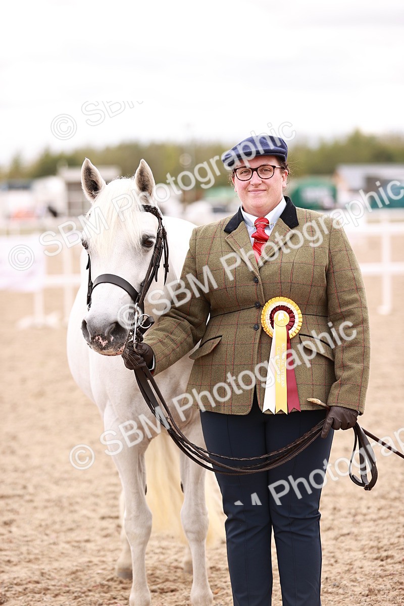 SBM_16372 - Class 413 - Best Condition - Adult