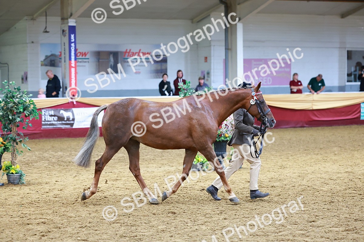 SBM_16060