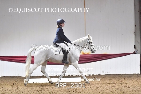 BPP_2301 - 23 - A LAMB