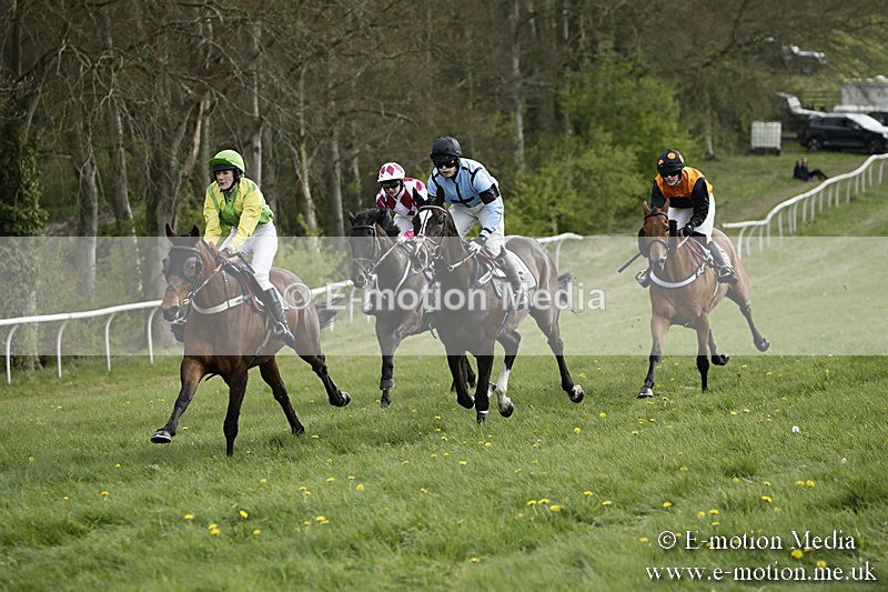 PtP 170417 324 - Old Berks Point-to-Point Lockinge 17/04/17
