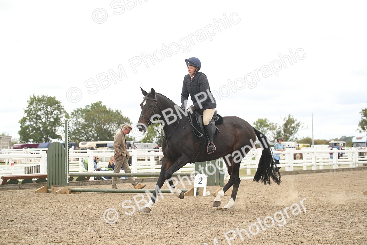 SBM_16815 - Class 507b - Working Veteran 60cm (20+)