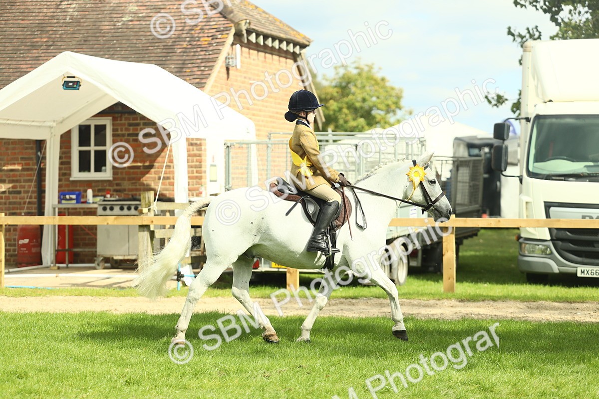 SBM_44900 - Working Hunter Pony Supreme Championship
