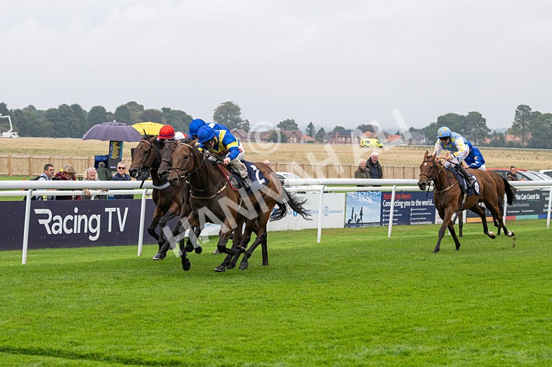 240924-Race 1-Dr Rio-5741 - Race 1