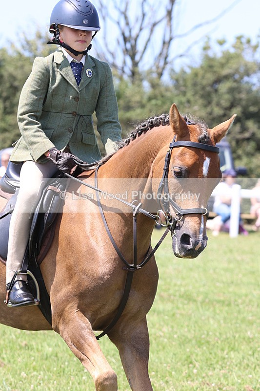 JPP_2774 - Class 21: Working Hunter 60cm