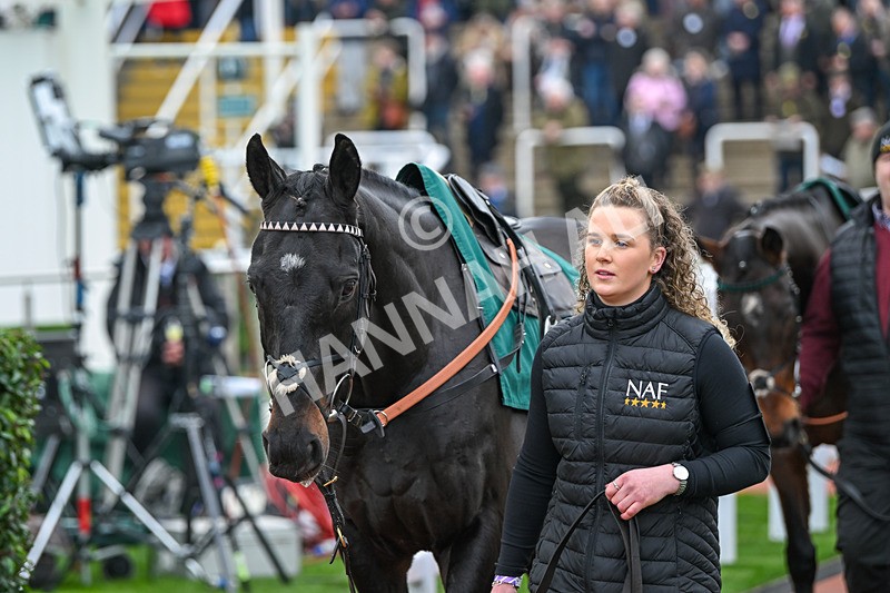 161124-Race 2-Paddock-Cap Du Nord-9348 - Race 2