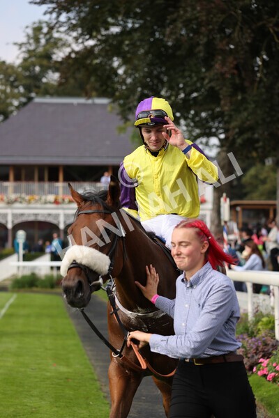 yr05092021r2-38 - Race 2 2.40pm John and Judith Marshall Memorial Stakes