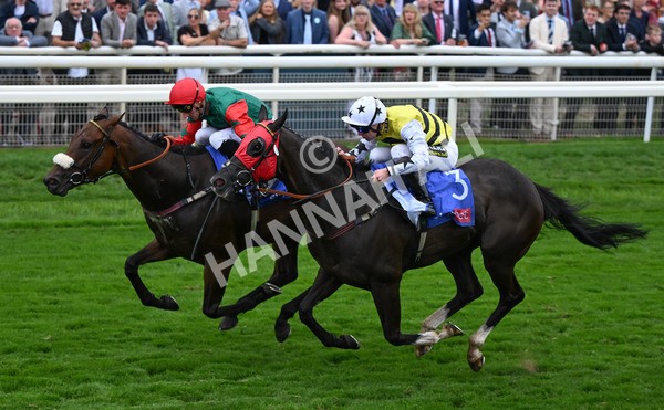 230825-231 Northern Ticker - Race 5 4.10pm Sky Bet Constantine Handicap