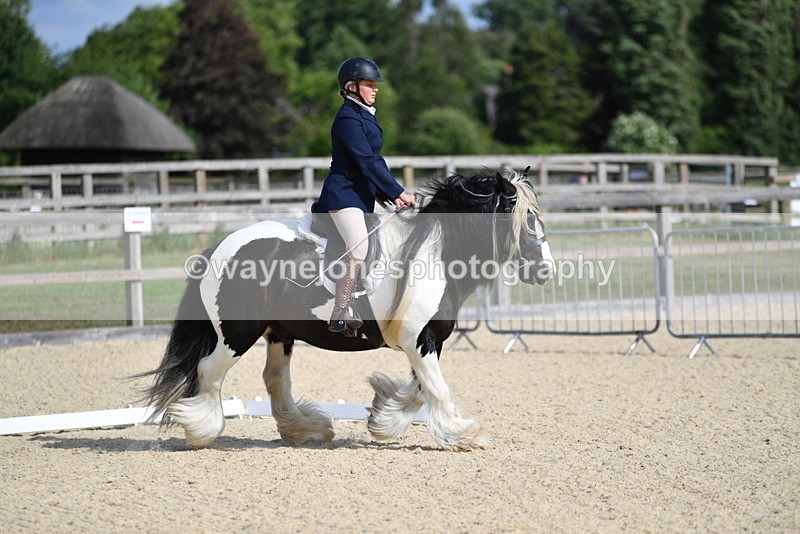 WJ5_7720 - Time 16:40 to 16:55