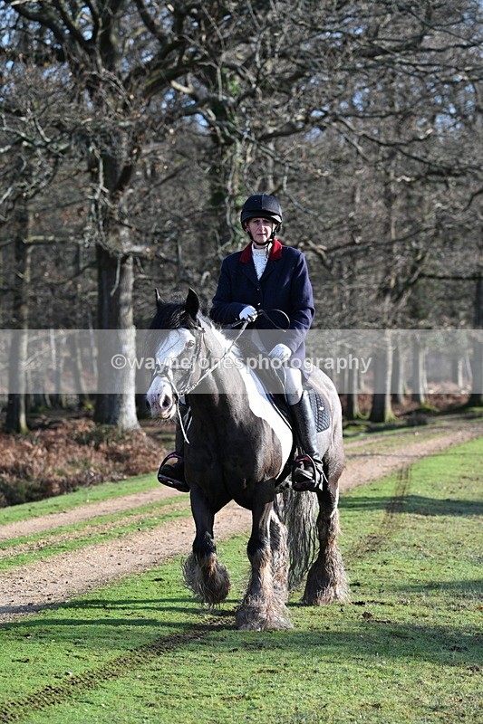 WJ7_7828 - Line 3 (no line 4 or 5)