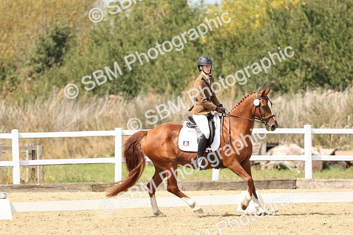 SBM_018797 - Class 16 - Novice 5 - 12.08-13.11