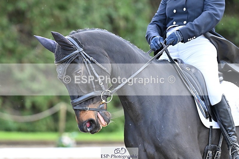 251023A-140211-05130 - C-243-Sam.Jennings