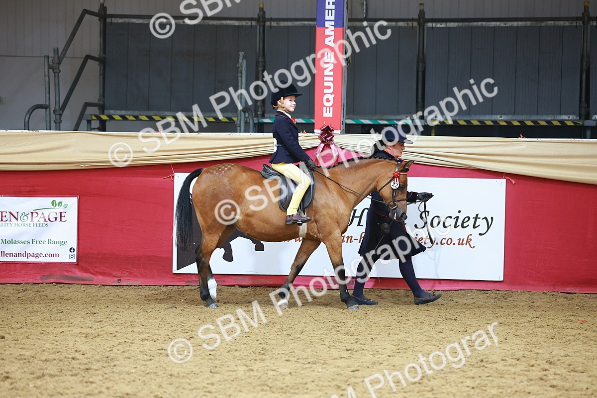 SBM_09582 - Class 102 - HOYS Veteran Qualifier - Ridden Veteran