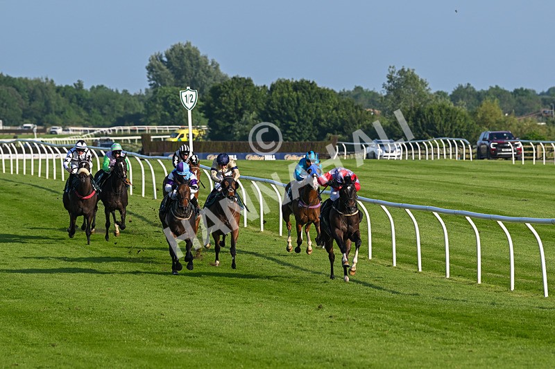 310524-Race 2-Dandy Fitz-8449 - Race 2