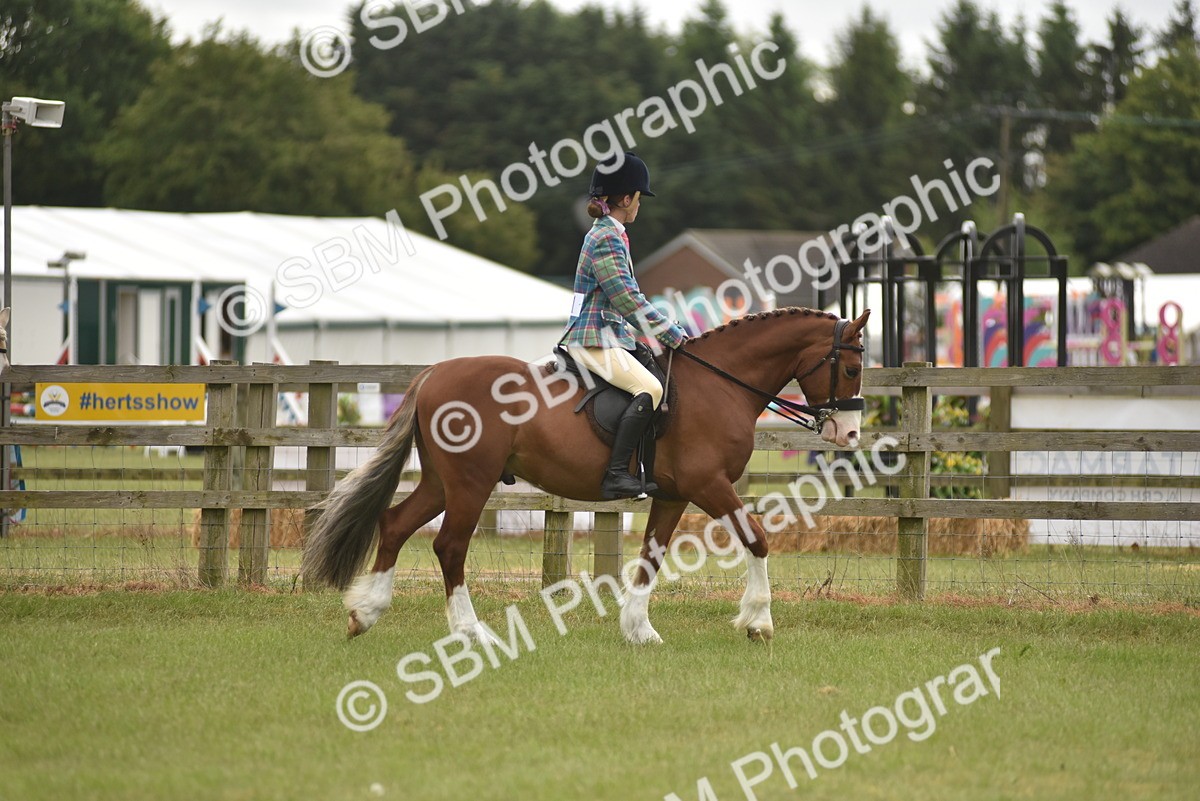 SBM_11978 - Class 110-112 - LIHS BSPS Performance Pones