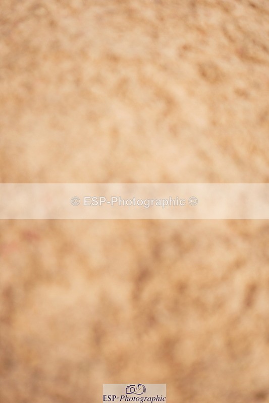 240526A-100128-07267 - Cls 25 National 1.30m Open