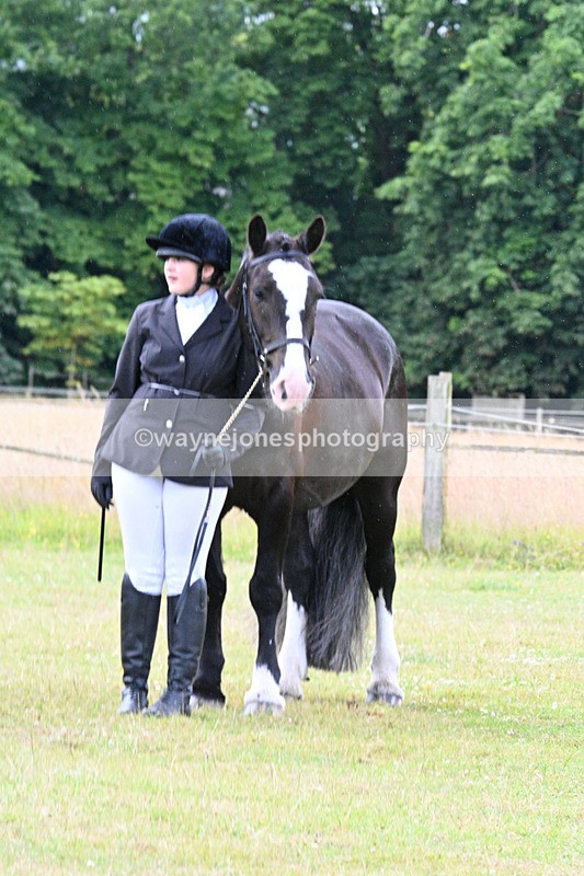 WJ7_7226 - Class 5a Most Handsome Gelding in Hand