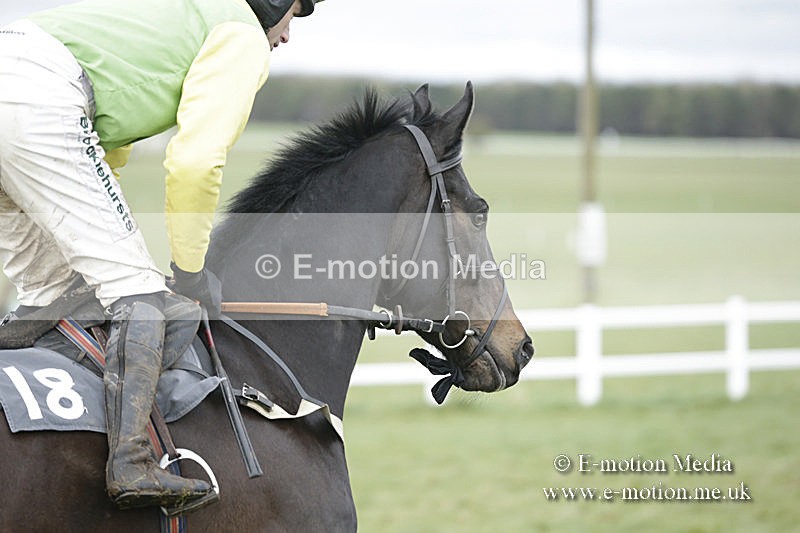 PtP 150320 0555 - New Forest Point-to-Point Larkhill 15/03/20
