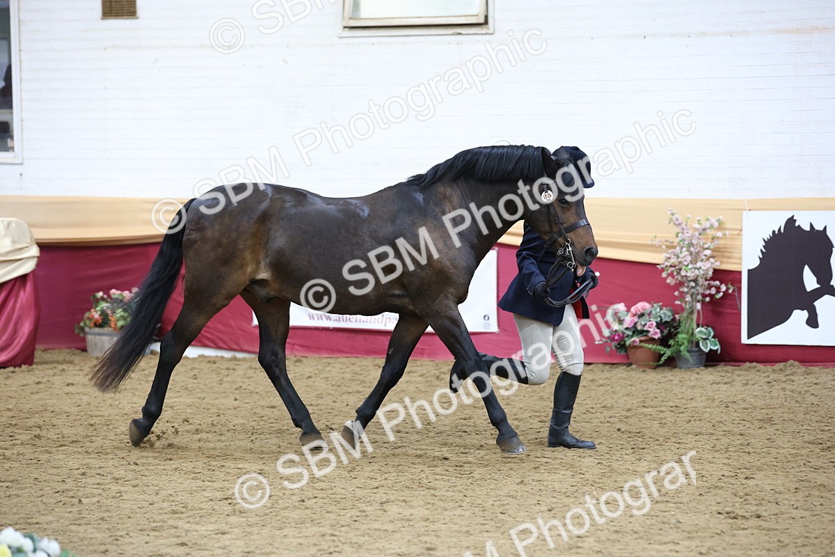 SBM_23623 - Class 904 - Supreme Final - Ridden Diamond