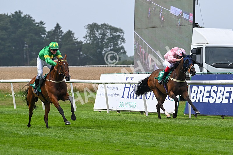250725-Graham Lee IJF Stable Staff Stakes-E-3851 - The Graham Lee IJF Fund Stable Staff Stakes