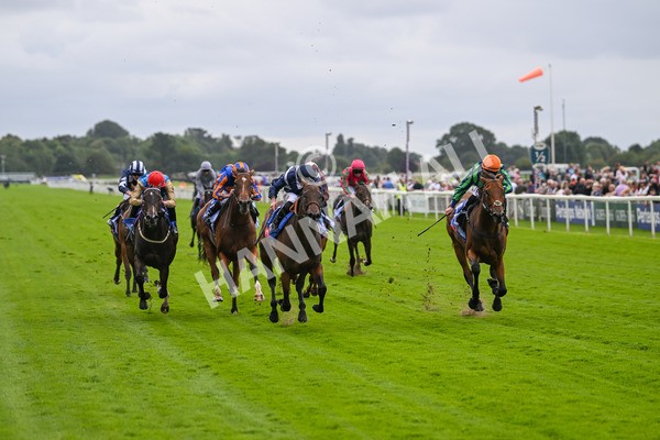 220824-Race 1-Celandine-6575 - Race 1 1.50pm Sky Bet Lowther Stakes