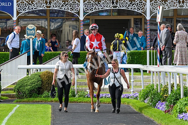 230526-Race 7-Golden Strike-8022 - Race 7 17.00pm William Hill Boosts Every Day Handicap