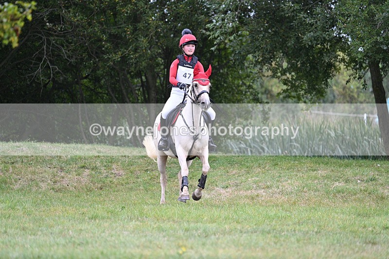 WJ7_8374 - 80cm XC Time 15:45 to 16:02