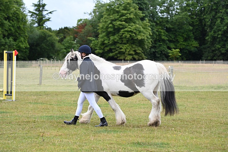 WJ6_8770 - Class 10 Coloured in-hand