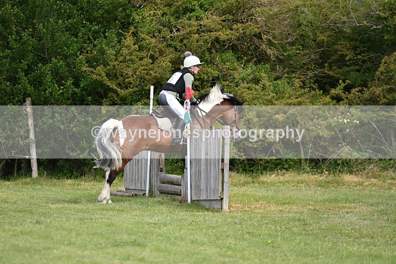 WJ5_2355 - Class 2 40cm