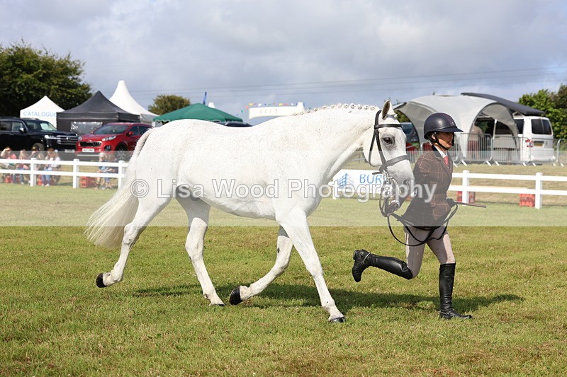 3E7A9137 - Class 3: Rising Star S/L Hunter