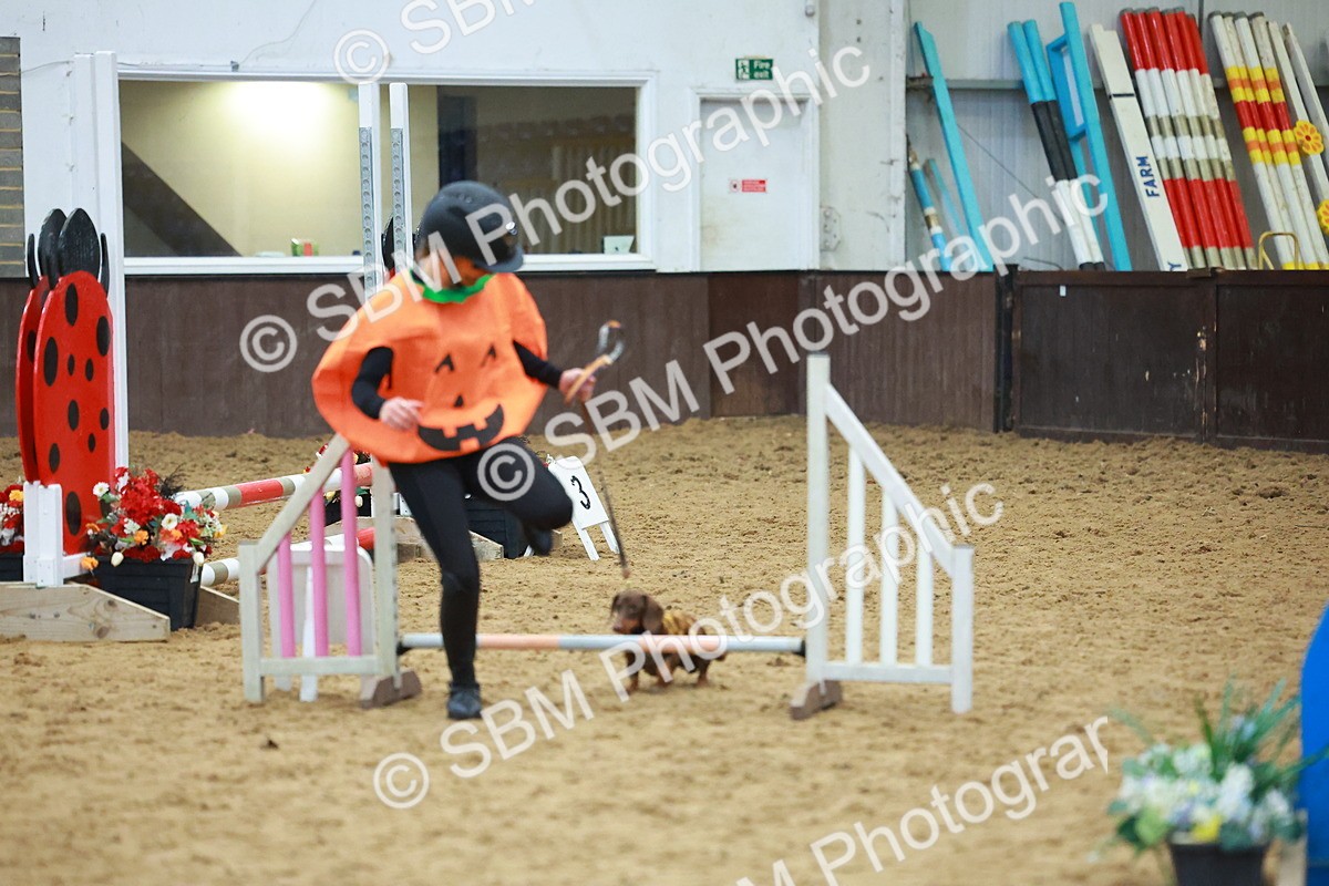 SBM_002195 - Class 3 - Horse & Hound (60cm)