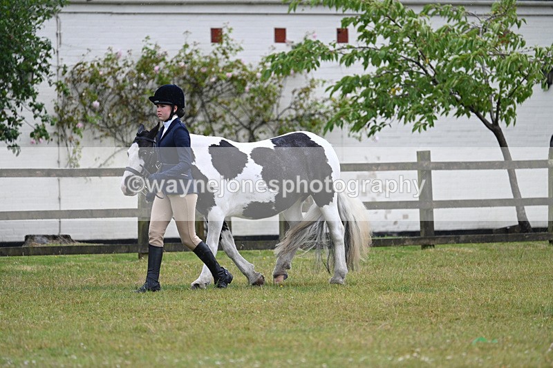 WJ7_5728 - Class 4 Prettiest Mare in Hand