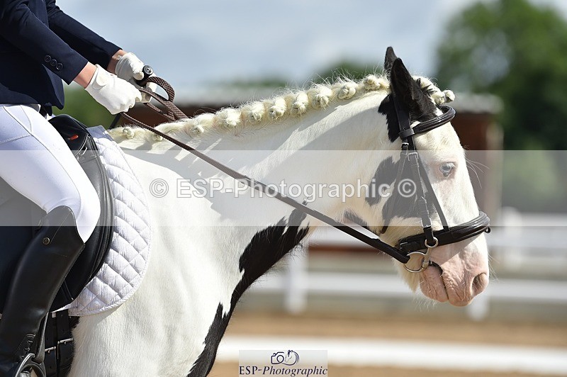 250622-095038-12860 - Quest Cls 19-24 Intro Tests