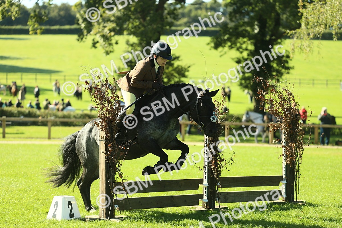 SBM_36460 - S29 - Novice & Newcomers Working Hunter Pony