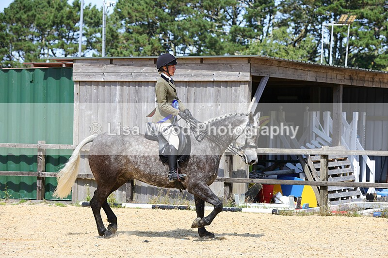 1X9A8858 - Class 19: Riding Club Horse