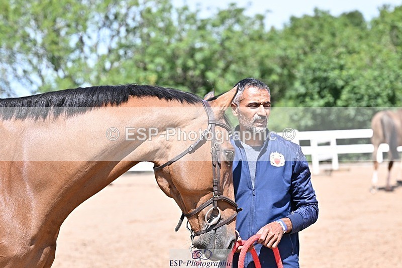 250716-123835-00081 - Trot Up 12.30 to 1.30