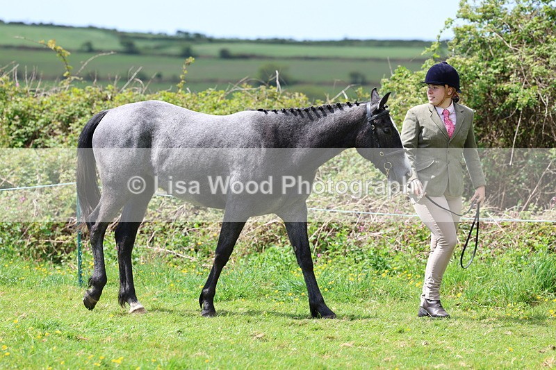 3E7A0441 - Class 20: Sports Horse