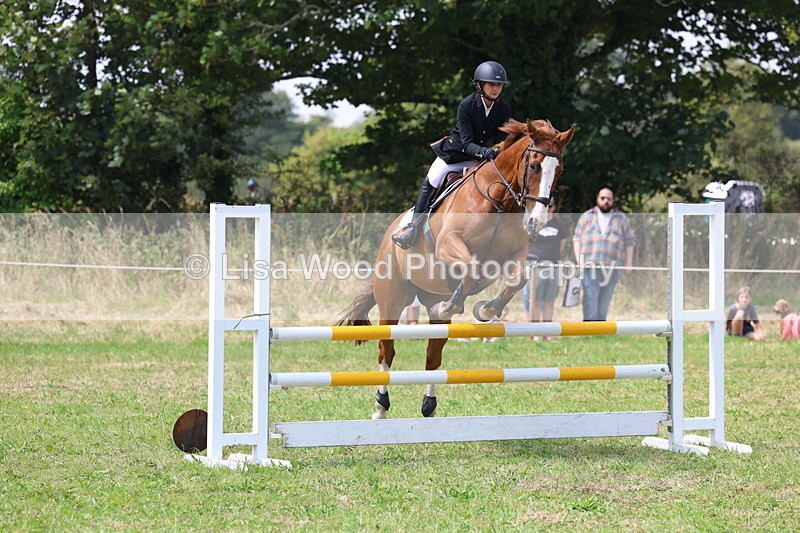 3E7A3007 - Class 7: Senior British Novice/90cm open