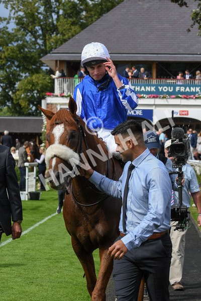 250823-Race 1-Marhaba The Champ-0174 - Race 1 1.50pm Sky Bet Handicap
