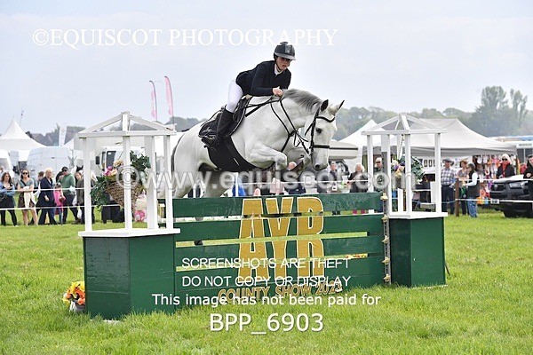 BPP_6903 - CLASS 3 RHS Fox Champ Qual (1.20m)