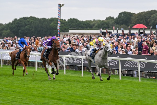 200825-Race 2-Gewan-1276 - Race 2 2.25pm Tattersalls Acomb Stakes