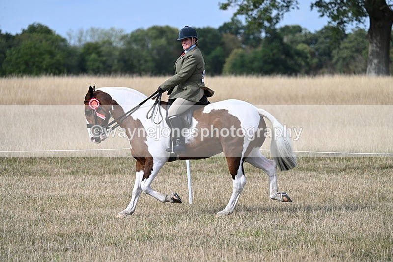 WJ7_7802 - Ridden Championship
