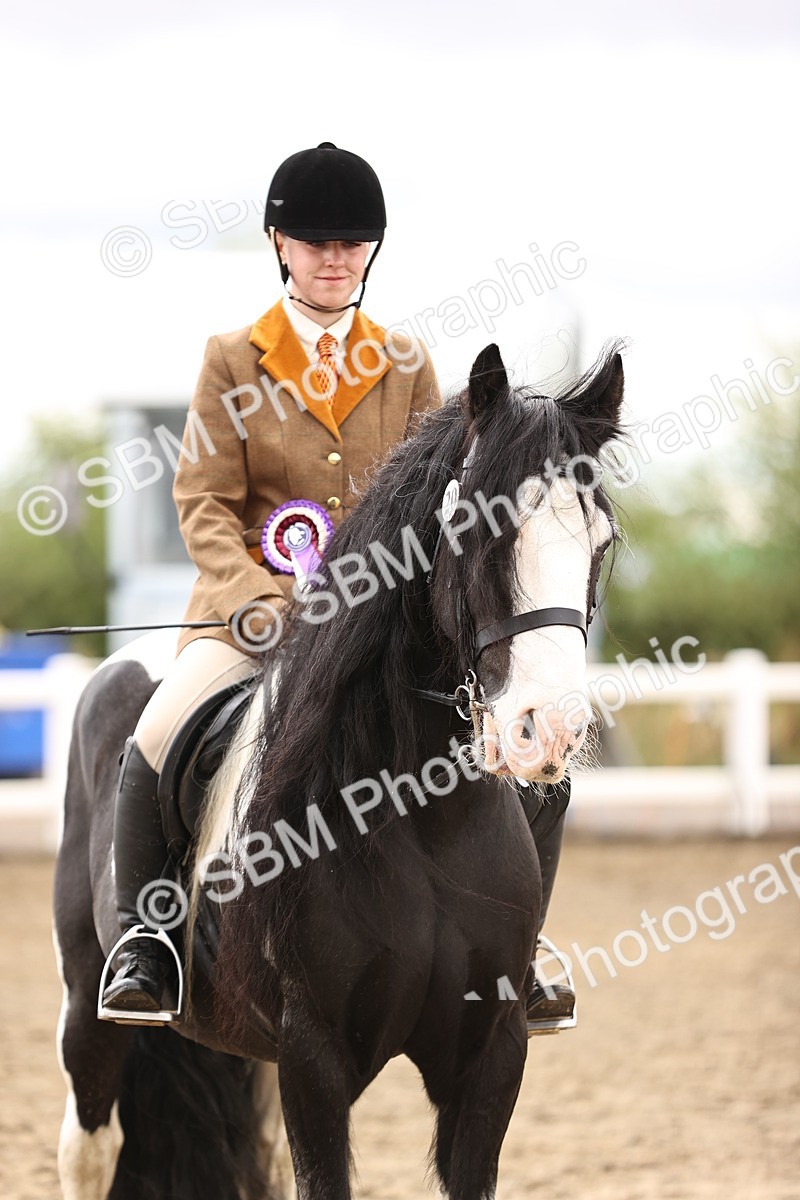 SBM_00368 - Class 52 - Ridden Veteran