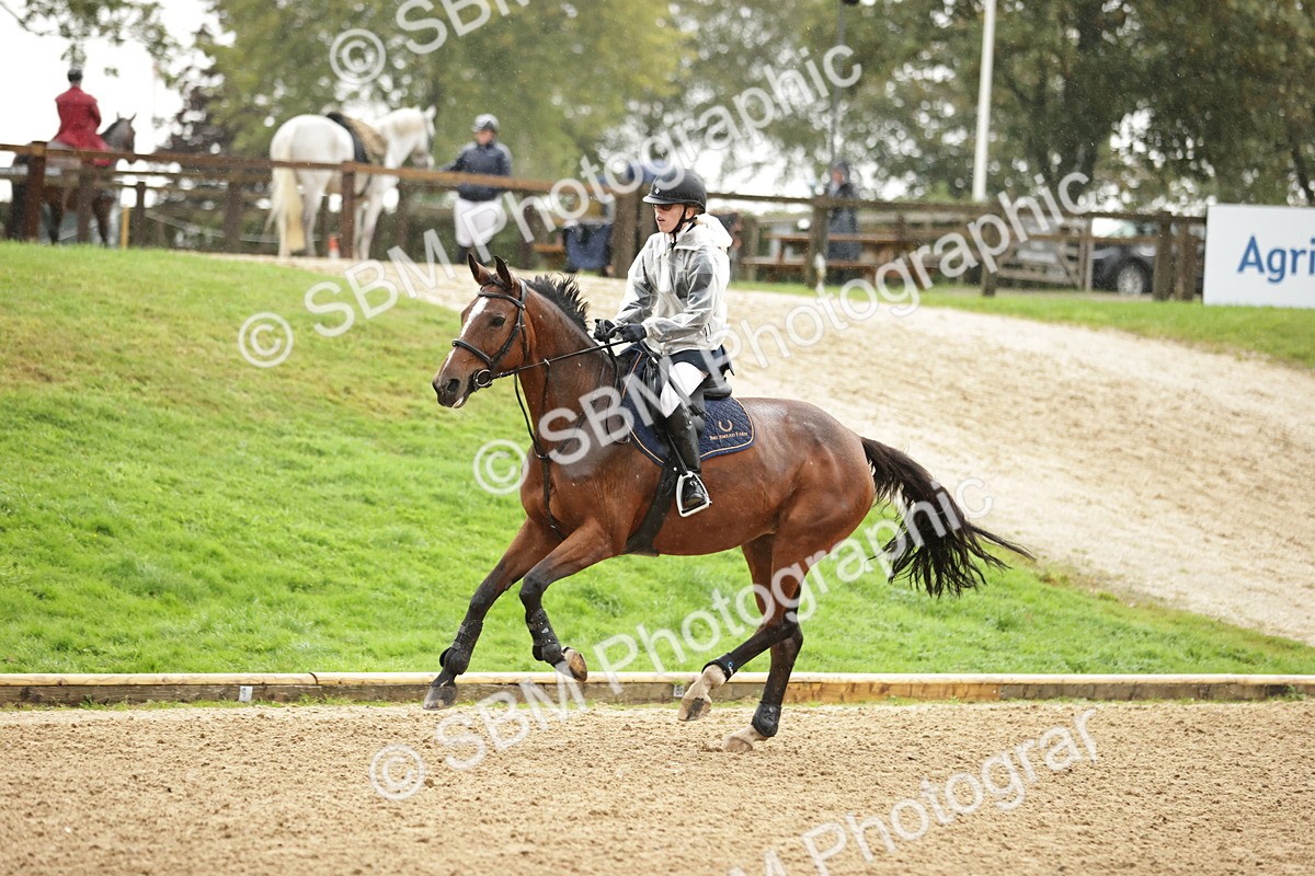 SBM_33124 - J38 - Senior Horse & Pony 80cm Championship